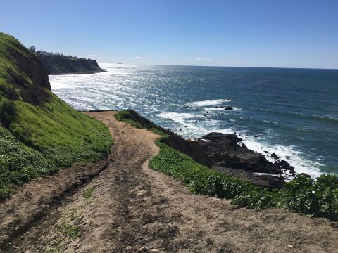 A Short 2-Mile Trail In Southern California,  Bluff Cove Trail Leads To The Most Breathtaking Ocean View