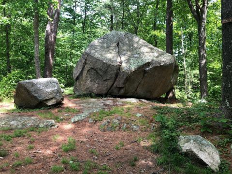 Get Lost In An Enchanted Forest On Whitney And Thayer Woods Trail In Massachusetts