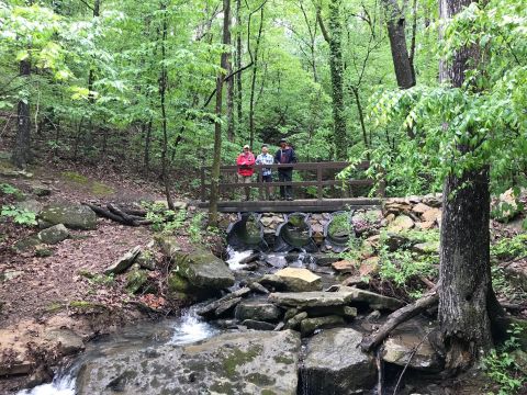 Hike Above The Little Red River For Some Big Views At Mossy Bluff Buckeye Trail In Arkansas