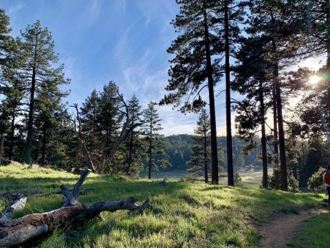 The Picturesque Hike At Laguna Meadows Loop In Southern California Is The Perfect Trail For Soaking Up The Sights And Sounds Of Nature