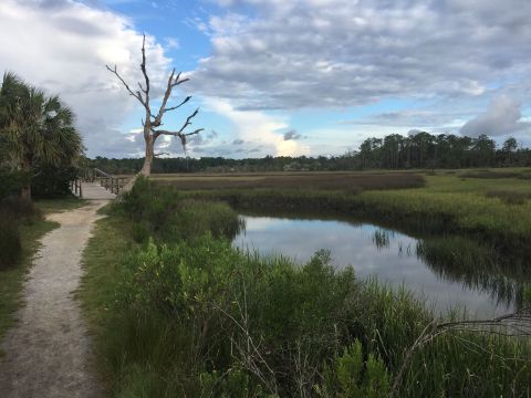 The One-Mile Trail Hike Along The Coast Of Georgia Is Brimming With Wildlife