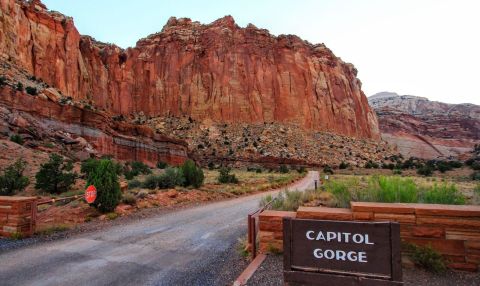 Explore Utah's Early History On The Scenic Capitol Gorge Trail In Utah