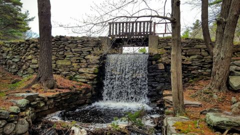 With Gorgeous Waterfalls, Ponds, And More, Douglas Forest Wallis Pond Loop Trail In Massachusetts Has It All