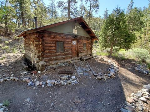 Hike To The Century-Old Hidden Forest Cabin In Nevada Where You Can Even Spend The Night