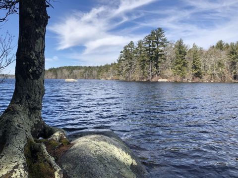 Tippecansett Trail In Rhode Island Winds Through 10 Miles Of The Arcadia Management Area