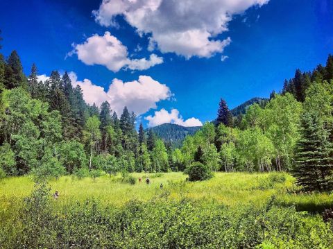 Hiking At Holy Ghost Trail In New Mexico Is Like Entering A Fairytale