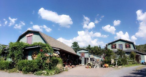 Schoolhouse Earth, A Maryland Shop And Petting Zoo, Is A Whimsical Place To Explore