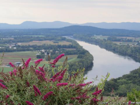 Walk Along Some Of The Tallest Trails In Massachusetts At Mount Sugarloaf State Reservation