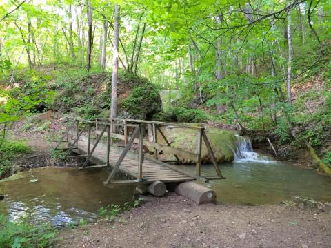 A Trail Full Of Creek Cascade Views By Falls Ridge Preserve Will Lead You To A Waterfall Paradise In Virginia