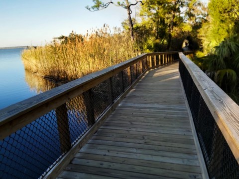 Village Point Park Preserve Is One Of Alabama's Best-Kept Secrets