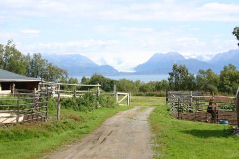 Stay On An Authentic Alaska Homestead When You Spend The Night At This Seaside Farm