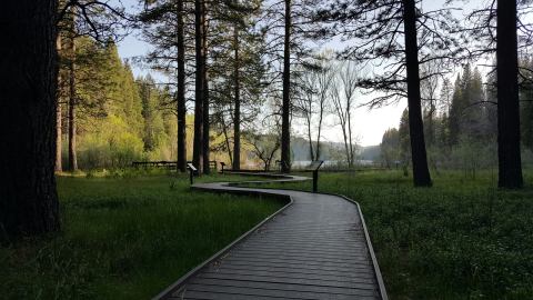 Sly Park Recreation Area Is An Incredible Spot In Northern California That Will Bring Out Your Inner Explorer