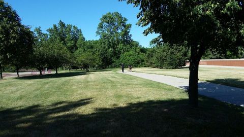 Lincoln Woods Nature Preserve Near Detroit Is So Hidden Most Locals Don't Even Know About It