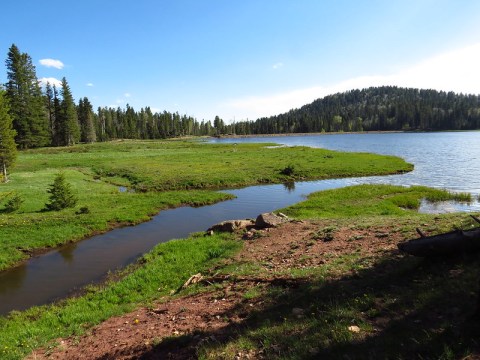 San Gregorio Reservoir Is One Of The Most Underrated Summer Destinations In New Mexico