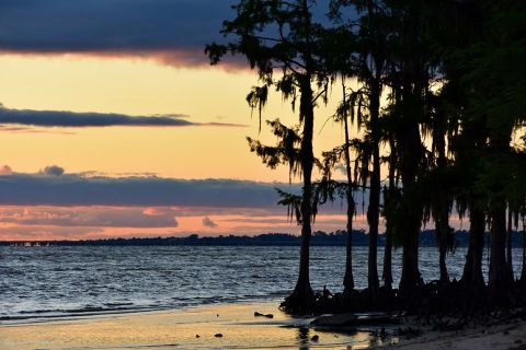 The Beach At Fontainebleau State Park Near New Orleans Feels Like A Tropical Dream