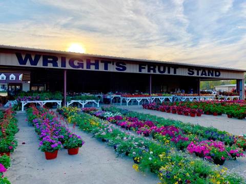 Stock Up On Fresh Fruits And Veggies At These 8 Mississippi Produce Stands    