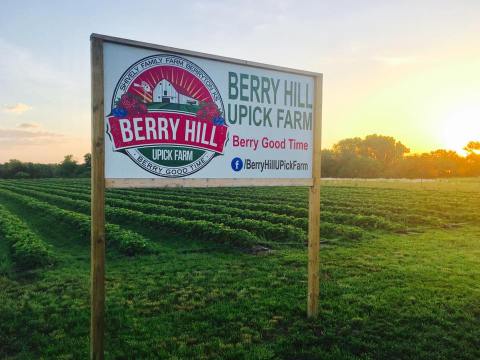 Pick Your Own Corn, Pumpkins, And Sunflowers At The Charming Berry Hill Farm Hiding In Kansas