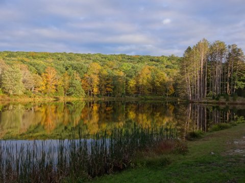 New Jersey Is Home To The Oldest Resident Environmental Field Center In The World And It Needs Your Help
