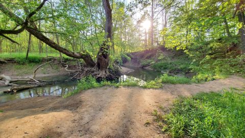 Spend The Day Splashing In Middle Creek At Its Scenic Park In Kentucky