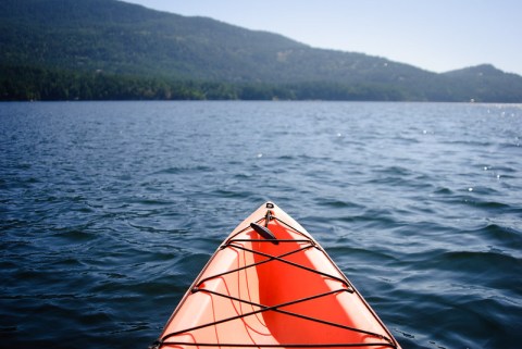 Kayak Out To Jones Island In Washington To See An Island Filled With Wildlife