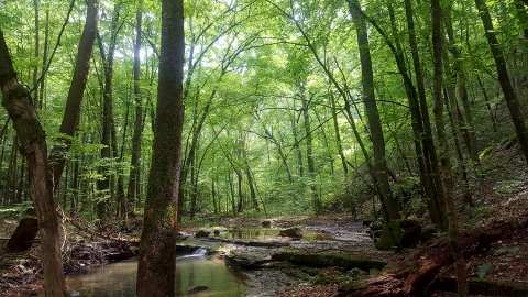 A Short But Beautiful Hike At Ponca Landing Leads To A Little-Known Waterfall In Arkansas