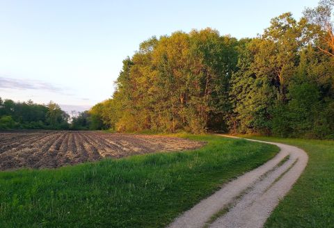 Learn While You Hike On Battle Road Trail, An Easy Trek In Massachusetts With Educational Signs That Everyone Will Love