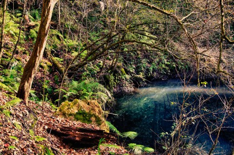 This Easy 1.6-Mile Trail Leads To Devil's Millhopper, One Of Florida's Most Underrated Waterfalls