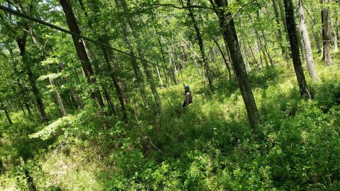 Soar Above A Beautiful Coastal Wetland At Adventureworks Zip Line Park In Virginia