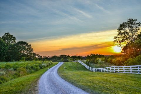 Get Lost On The Wildflower And Waterfall Trails Of Shaker Village In Kentucky