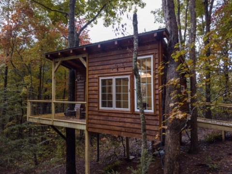 Enjoy The Natural Beauty Of Tennessee With A Stay At One Of These Gorgeous Treehouse Cabins