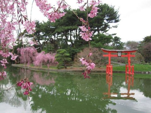 Brooklyn Botanic Garden Is A Scenic Outdoor Spot In New York That's A Nature Lover’s Dream Come True