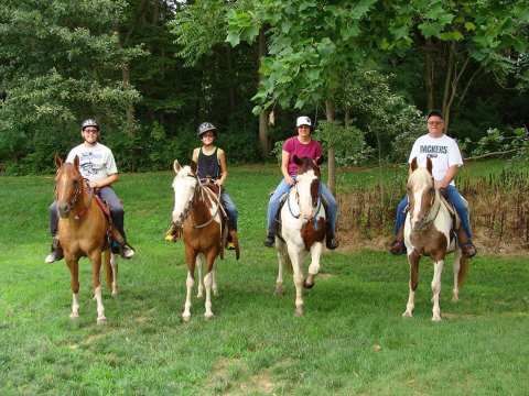 Take A Majestic Horse Ride Tour Through The Forest With Riverside Stables In Illinois