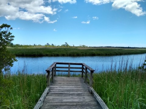 Take An Easy Out-And-Back Trail To Enter Another World At Estell Manor Park In New Jersey