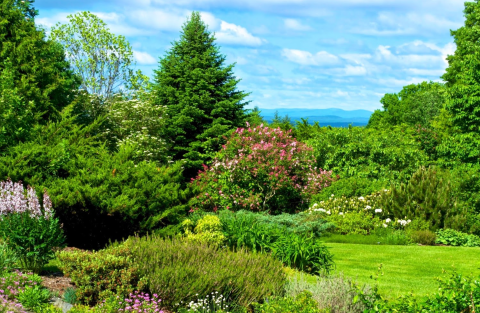 Distant Hill Gardens Is One Of The Most Underrated Summer Destinations In New Hampshire