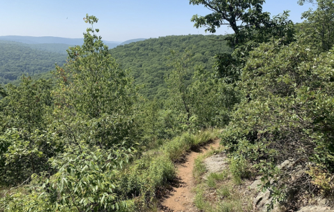 With Numerous Hiking Trails, Macedonia Brook Is One Of The Most Gorgeous State Parks In Connecticut