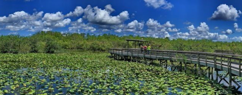 Under 2 Miles Long, Anhinga Trail Is A Totally Kid-Friendly Hike In Florida