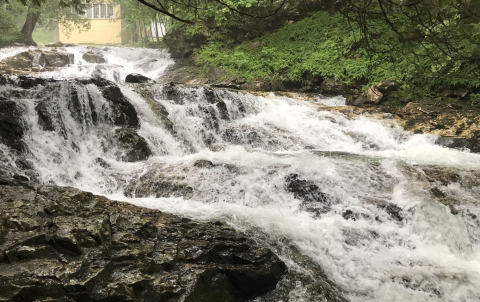 Hike In Solitude To Chaffee Falls In Vermont, A Secluded And Isolated Hike That Guides You To A Mini Falls