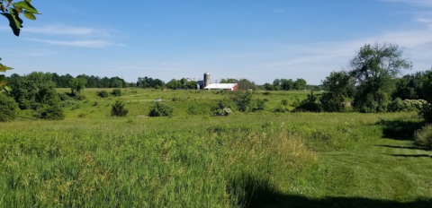 You Might Have The Whole Place To Yourself When You Walk The Trail At Eastmanville Farm Park In Michigan