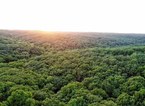 You Can Rest Your Weary Soul At South Dakota's Stunning Newton Hills State Park