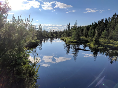 Get A Million Miles Away From It All At The Peaceful And Remote Craig Lake State Park In Michigan