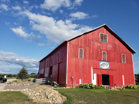 Take The Family To Stover’s Farm Market In Michigan, An Unexpectedly Awesome Destination With Lots To Do