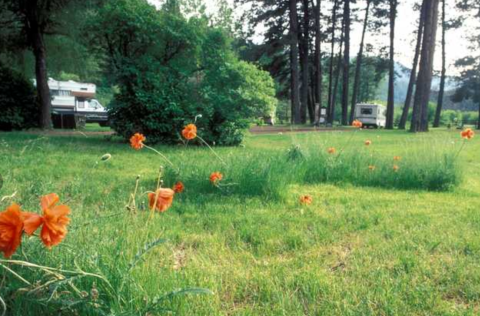 The Primitive Campsites At Catherine Creek State Park Provide A Cool Respite On A Hot Oregon Day