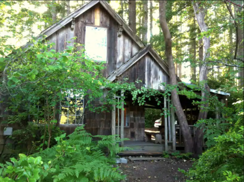 When You Stay In This 19th Century Cabin In Washington, You'll Feel Like You've Time Traveled To The 1800s