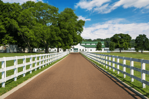 The Park At Historic Harlinsdale Farm Just Outside Of Nashville Is One Of The City's Best-Kept Secrets