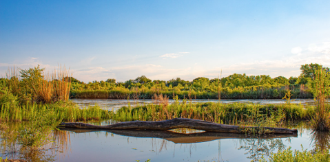 Find Peace At Valle de Oro National Wildlife Refuge In Albuquerque, New Mexico