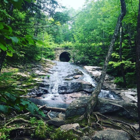 Take A Slide Down Chapel Brook Falls, A Unique Natural Waterfall Slide In Massachusetts