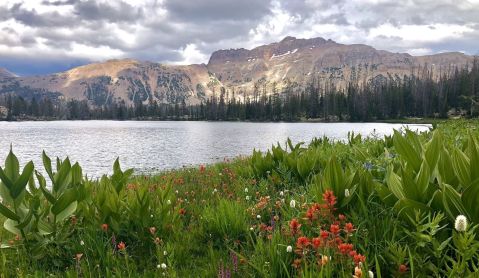 Take The Short, Easy Trail To Ruth Lake For A Utah Summer Adventure With The Family