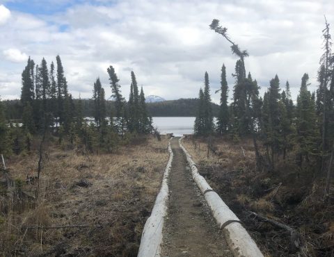 Hike This Gently Winding Trail To Marsh Lake In Alaska