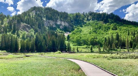 The Easy Lakeside Trail In Utah, Silver Lake Loop, That Will Lead You Through Absolute Perfection