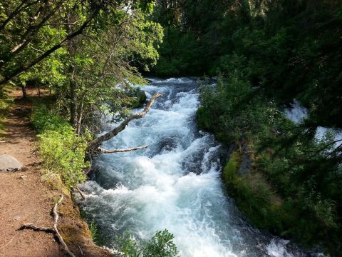 Watch The Alaska Salmon Spawn On The Easy Russian River Falls Trail